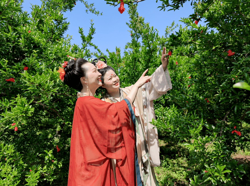 石榴花红产业兴_临潼区_芷阳_发展