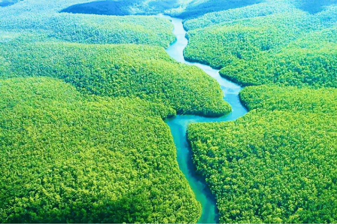 亚马逊雨林被称为“地球之肺”，为什么却是人类禁区，有多恐怖？_搜狐网