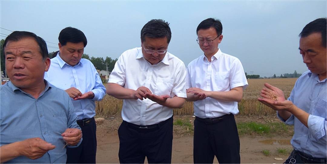 商丘市副市长高大立到夏邑县调研"三夏"生产工作_小麦_种子_天气