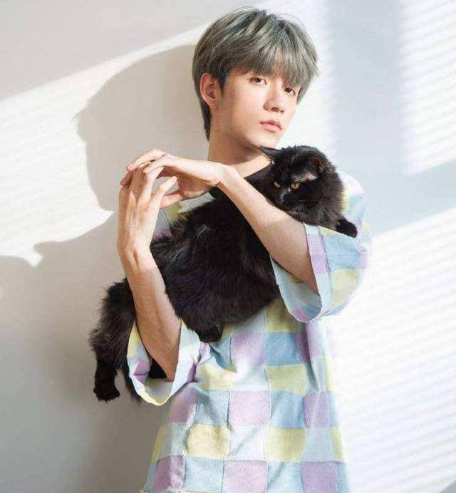 张颜齐不理对方,低头玩手机一脸沉重_邓紫棋_王晨艺_什么