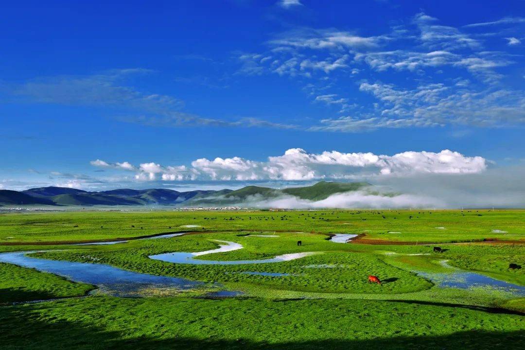 01秒! 爱上净土阿坝~_摄影_阳光_黄河