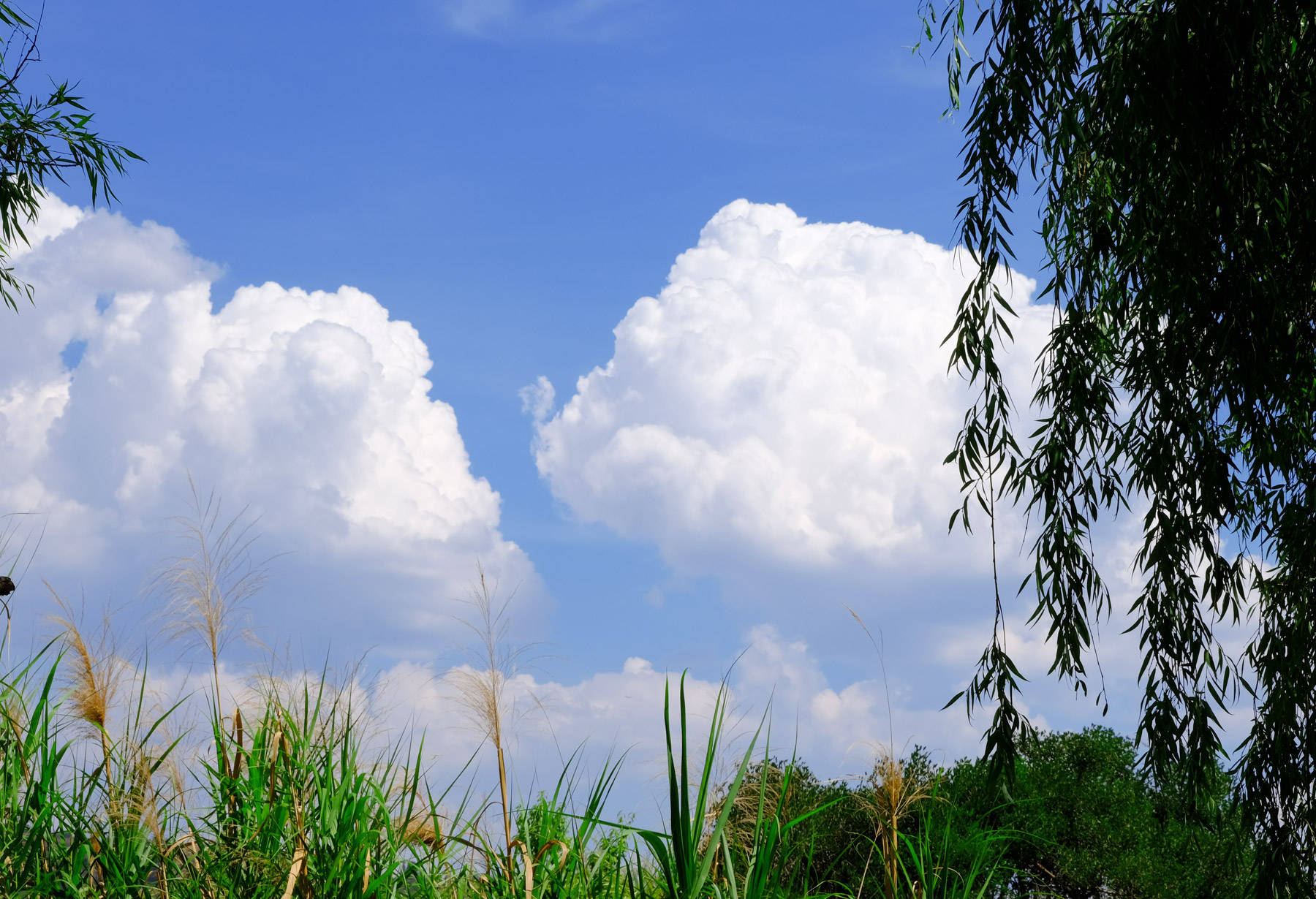 青春如火绽芳华,凝心聚力创精彩|徐氏翠缘18周年庆团建_团队_协作