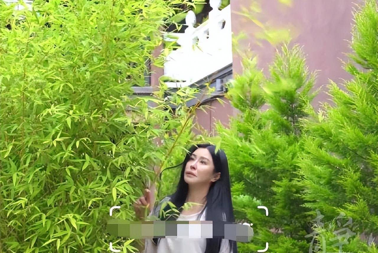 56岁王祖贤在温哥华种菜!