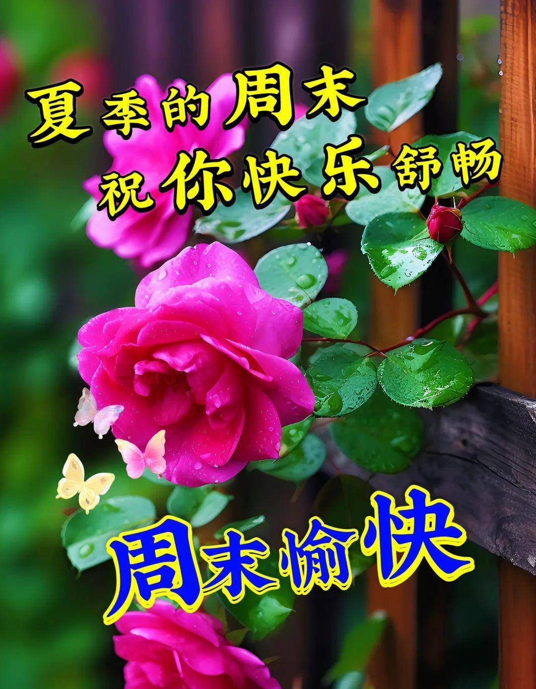 5月27日(周六),早上好温馨问候语,最新周末愉快图片