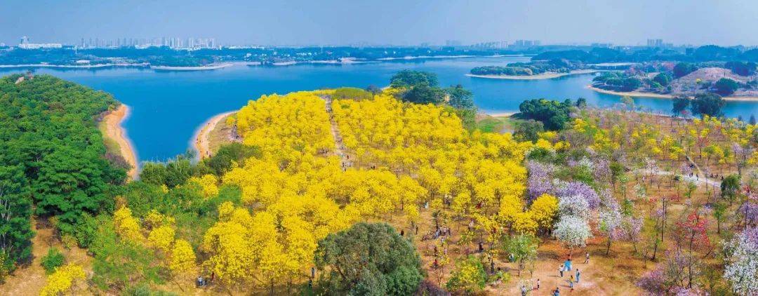 松山湖这一水库获评市级"美丽河湖"称号_松湖_东莞_烟雨