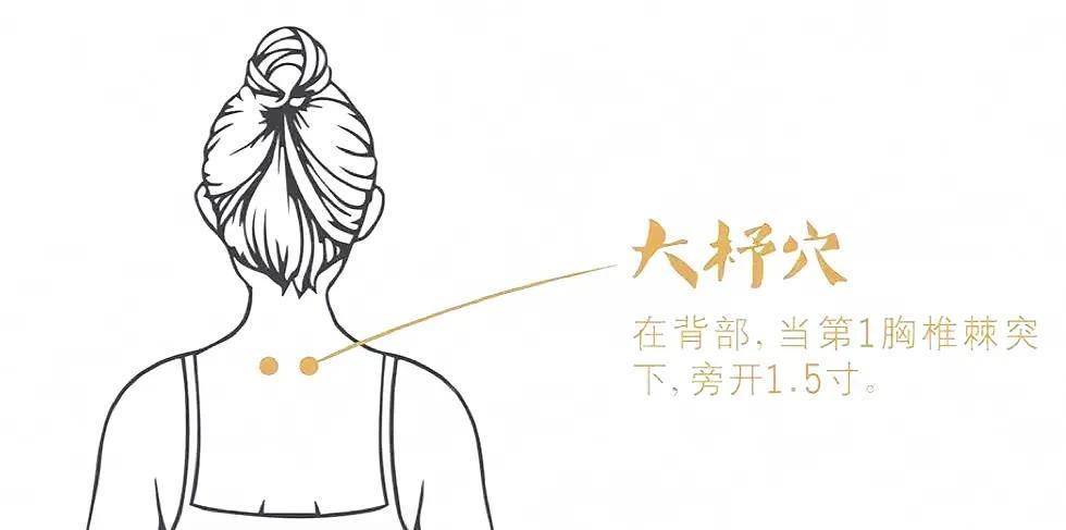 大杼穴,骨头精气所汇聚的腧穴,中医认为凡骨病均可酌情选用该穴