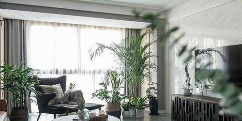 原创            家里客厅空间比较大，摆放盆栽的话有什么好的建议？-客厅放大盆绿植好吗