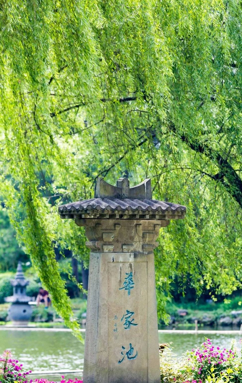 浙大校庆专属壁纸强势来袭,总有一款适合你!_求是_带着_校区