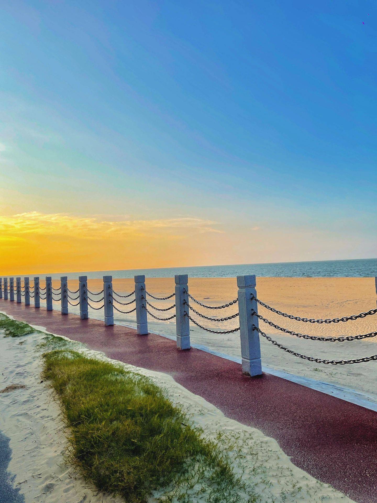 海口小众免费景点|海边最孤独的树,附攻略_沙滩_沙子_故事