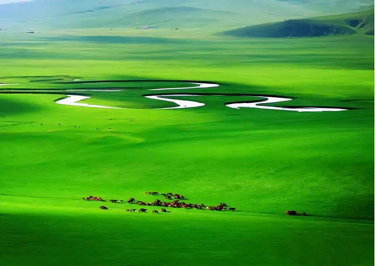 有一种旅行,叫夏天去呼伦贝尔看草原!_中国_大兴安岭_内蒙