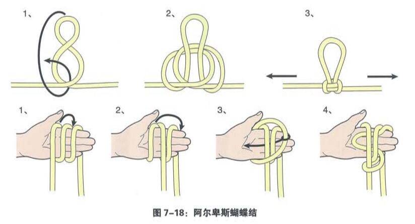 绳结打法图解绳子图片