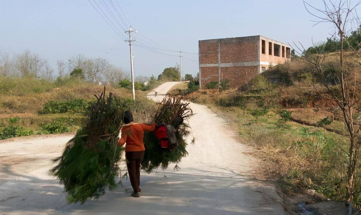 少将郑旭煜,刚刚晋升提拔担任纠察队政委,就差点"丢"了总司令_时期