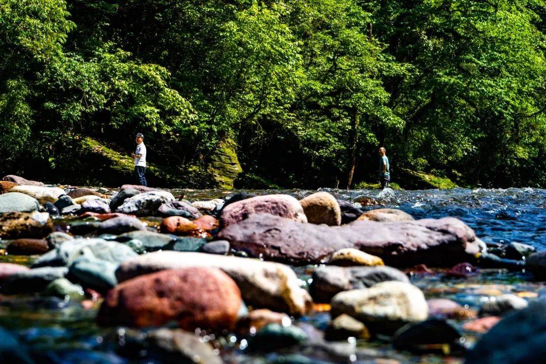 重溫小時候溪邊戲水的場景:孩子們拿著水槍一起打水仗,用石頭堆城堡