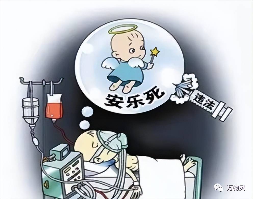 安乐死 漫画图片