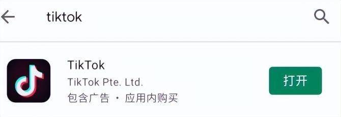 跨境电商&TIKTOK：什么是TikTok竞价广告？-tiktok海外竞品