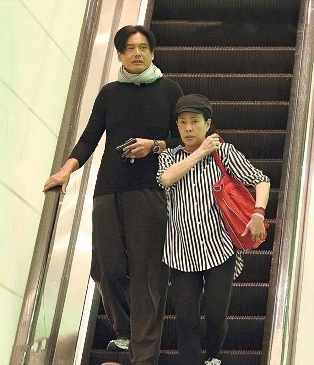 男神老了依旧帅气,陈荟莲一股子农村味!_照片_感觉_衣服