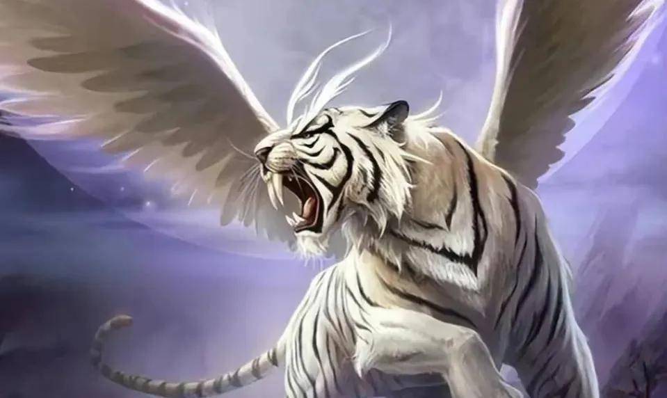 青虎 来自搜狐网