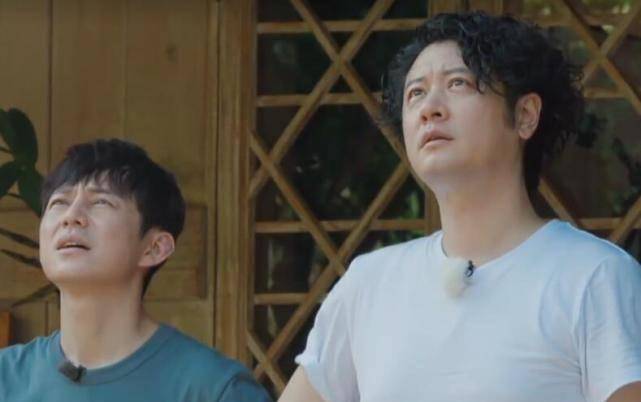 彭彭爬高摘椰子,别人都关心他能不能摘到,谁注意黄老师都说啥?