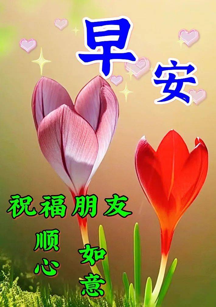 6月12日周一早上好最新早上好漂亮图片祝福_问候_生活_朋友