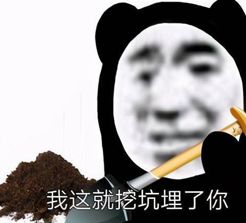 来一组超沙雕的怼人表情包