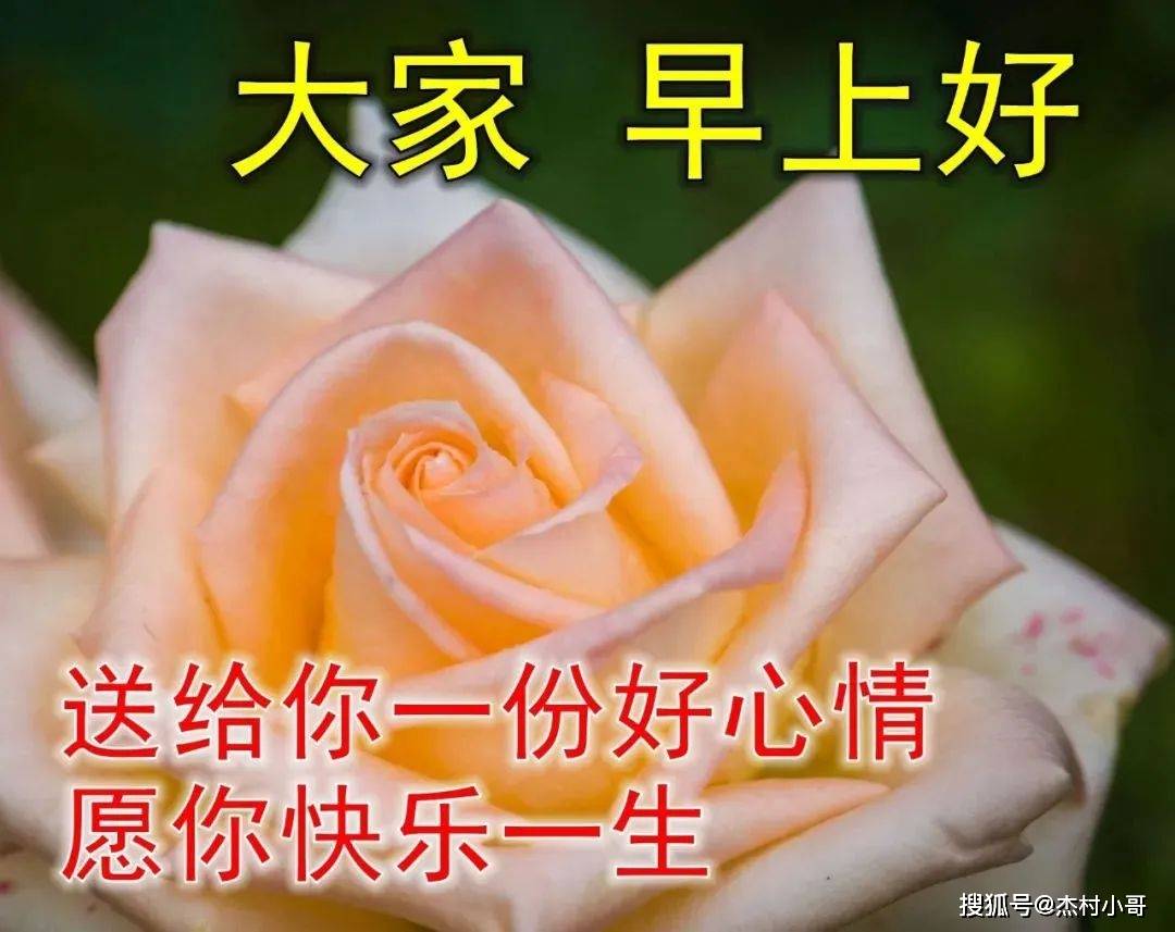 原创            6月7日最新早上好图片精选 早上好图片鲜花带字问候-2021年6月早上好动画表情