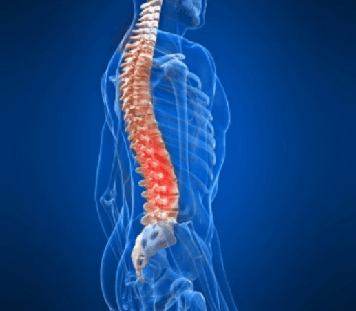 脊髓的结构和功能脊髓是人体主要的神经中枢之一,它由神经组织和脊髓