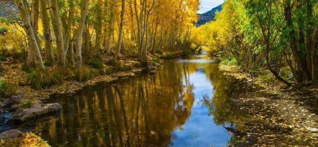 时光不曾,风声依旧(深度好句)_红尘_岁月_因为