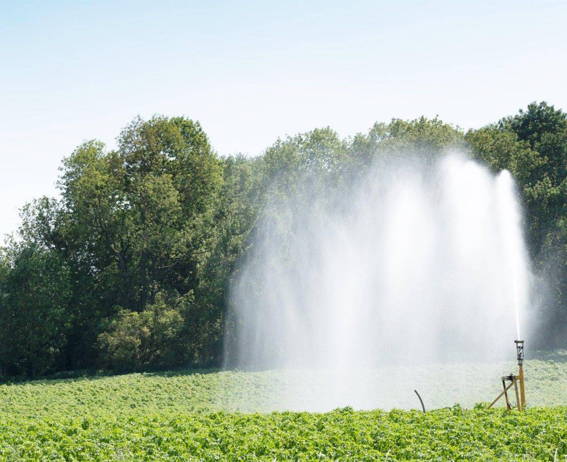 润农节水(830964)——节水灌溉工程企业研究_公司_销售_占比约