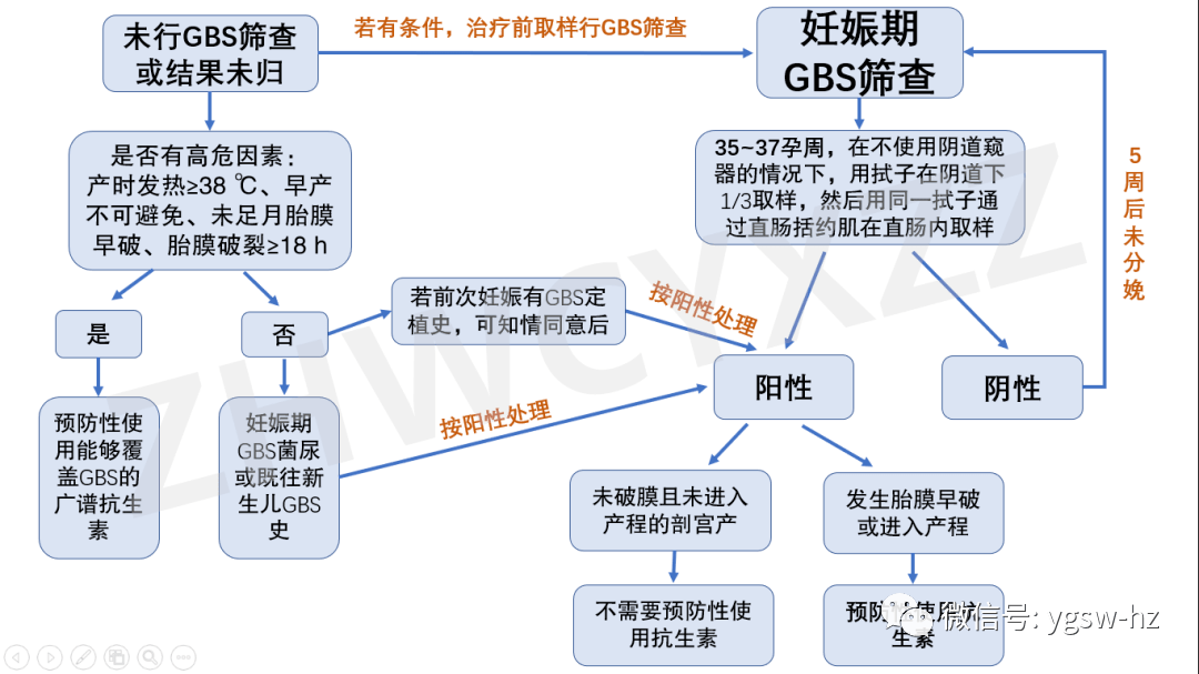 筛查对象 ❖ 对所有孕35~37周的孕妇进行gbs筛查,孕期患gbs菌尿者或既往有新生儿gbs病史者