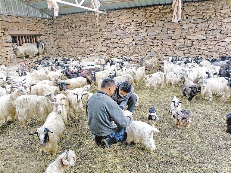 西藏山南市隆子县雪沙乡林麦村:干群同心共同托起富民强村梦