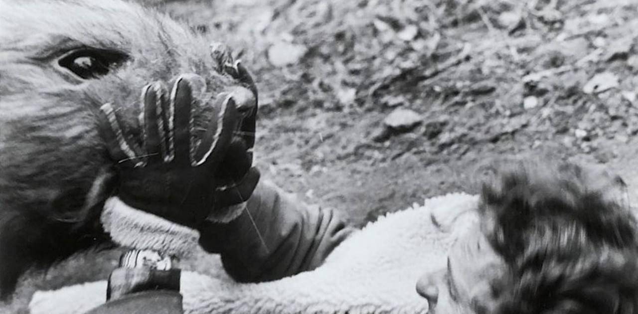 100多年前爆发的肺鼠疫,通过飞沫传播席卷东北,5万人丧命_伍连德_清