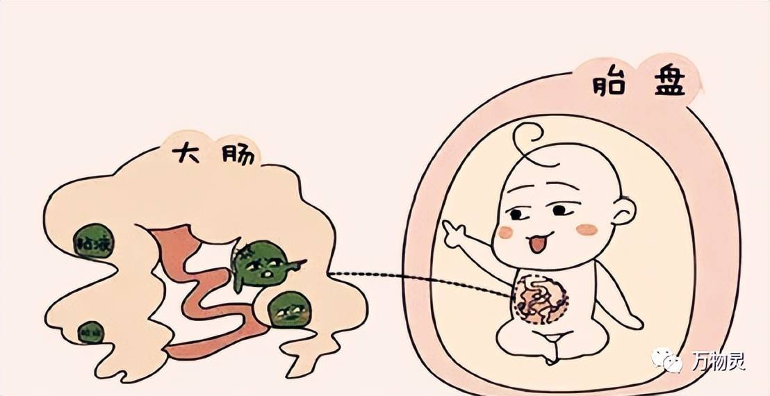 羊水_孕妇_尿液