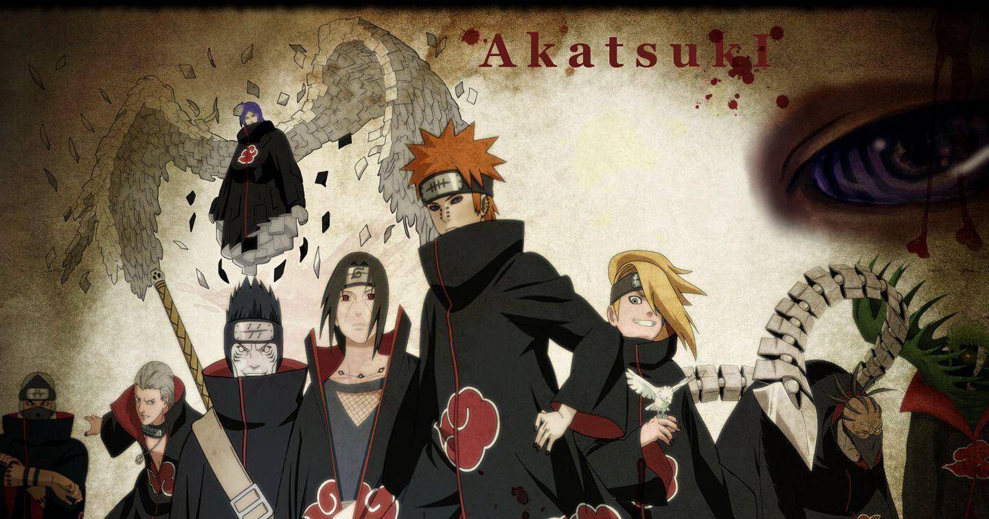 晓组织成员实力太差?