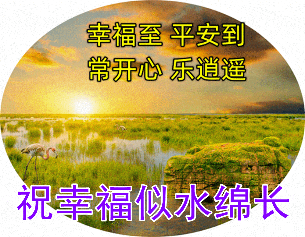 原创            超漂亮早上好表情图片带鲜花 2023最新版早上好动态表情图片-早上好鲜花动态表情