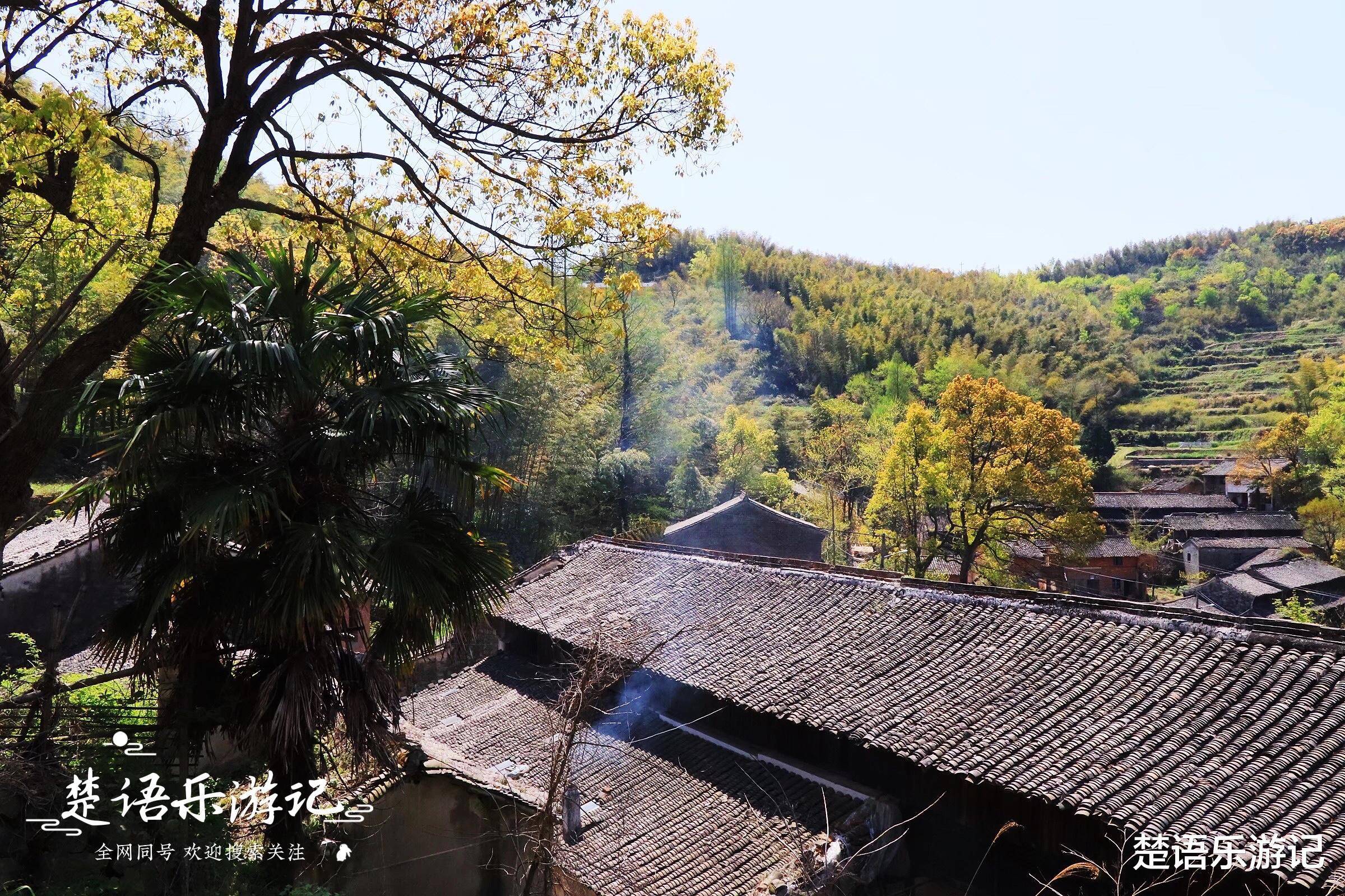 丛林古村落,茂林修竹,清溪流淌,适合玩水和露营_吴家山_东钱湖镇_樟树