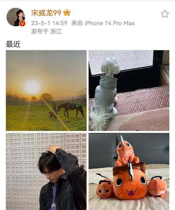 女方是上影老总千金,两部s 剧当聘礼!内娱赘婿 1_凌超_陈涛_孙珍妮