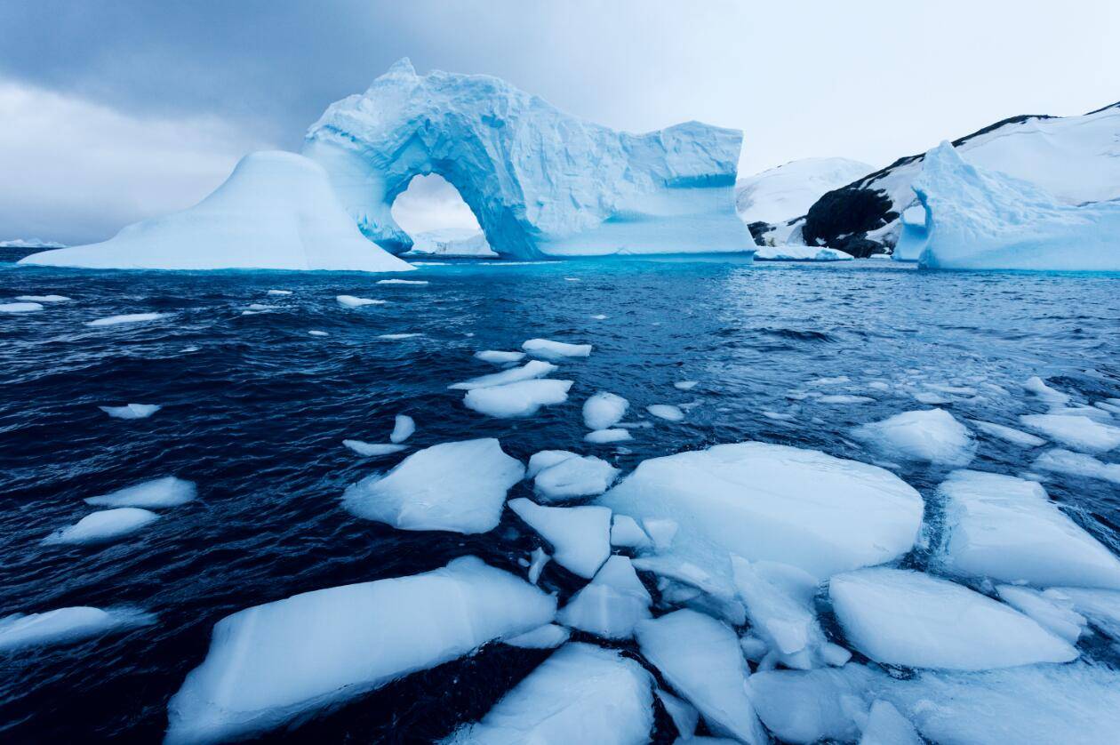 探秘:横贯南极山脉中的动物,世界上最寒冷地区的奇特生物_petrel_保护