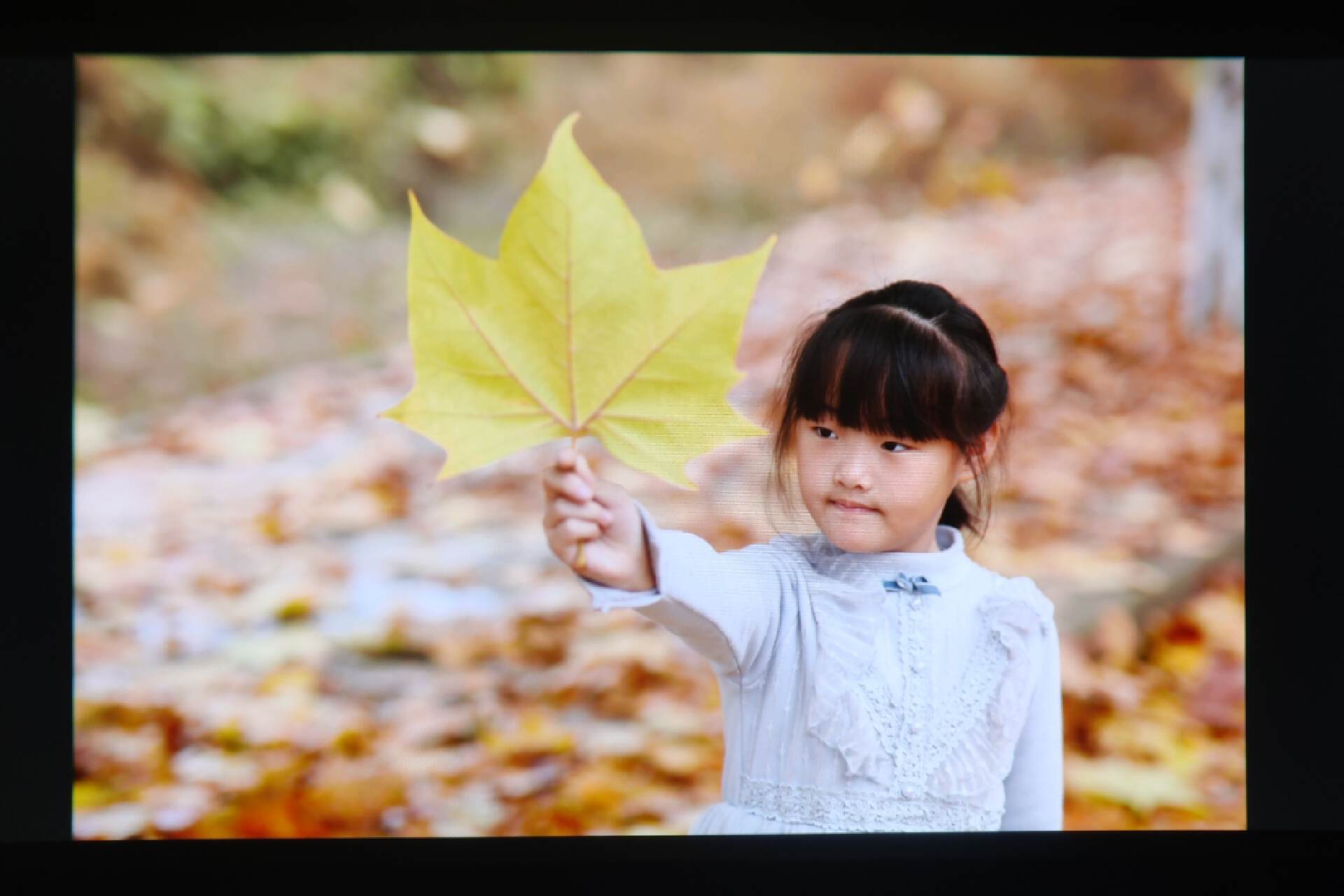 买不到苹果Vision Pro？那就试试GOOVIS G3 Max ，提前带你感受未来