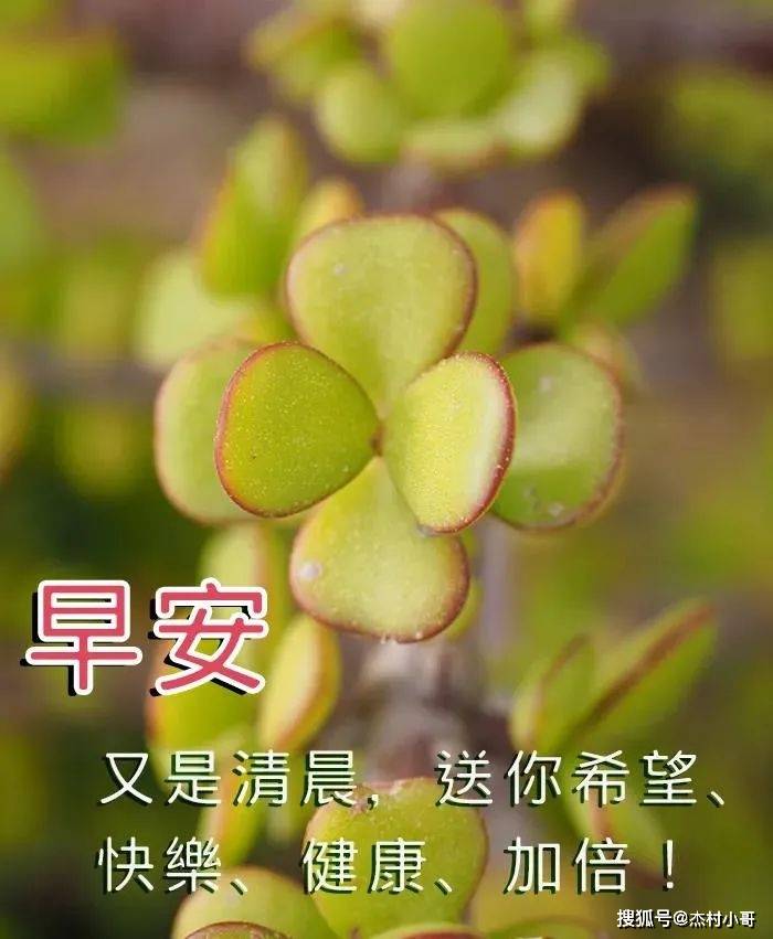 6月21日夏至清晨早安问候动态表情图片 早上好祝福美图动态文字大全