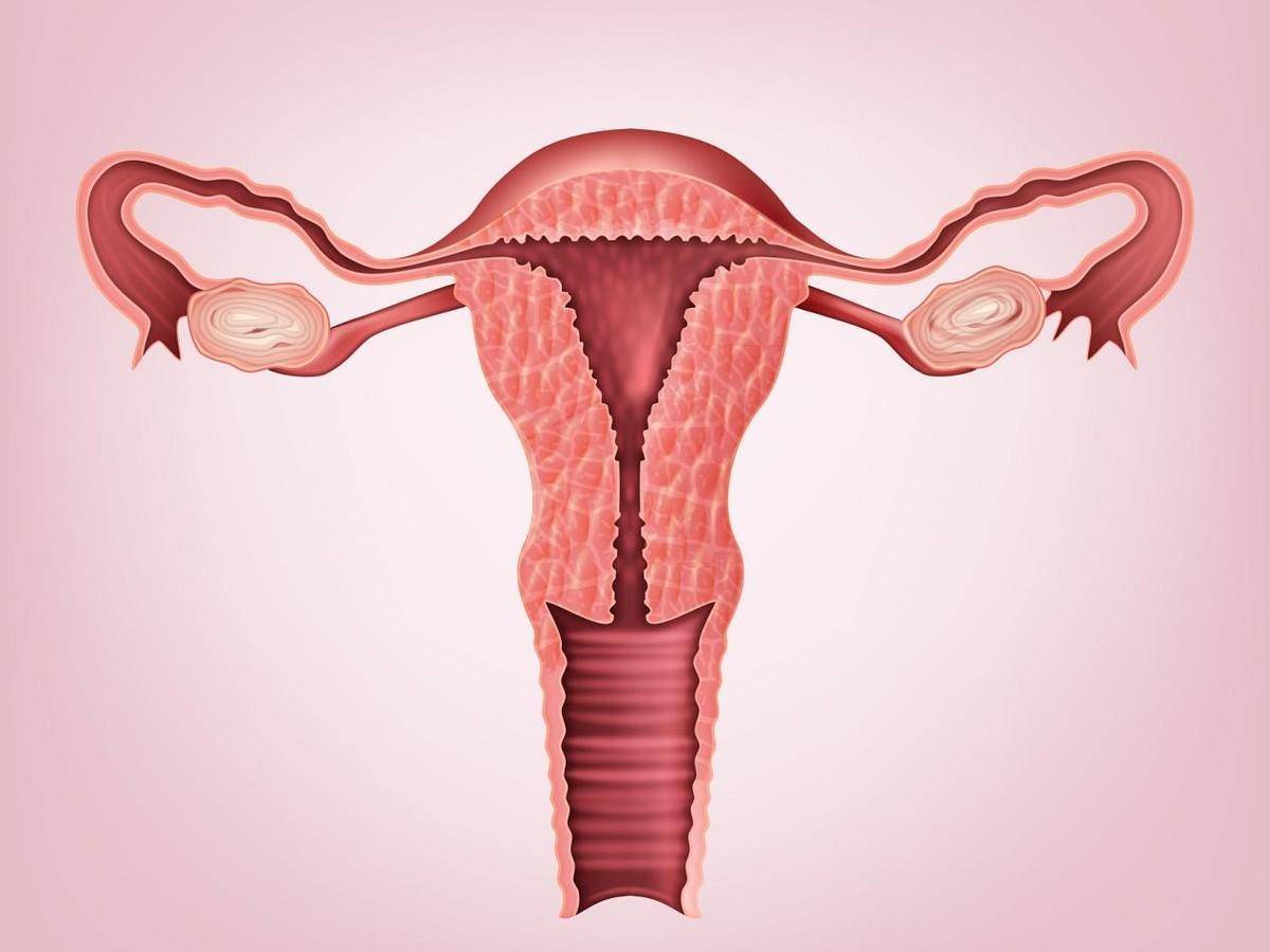 女人双阴道双子宫,与正常女性有何不同?生出来的都是双胞胎吗?