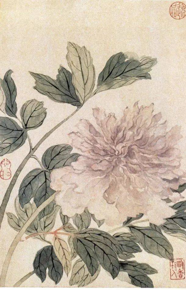 恽寿平最美没骨花鸟20幅!(高清)_自然_书画_com