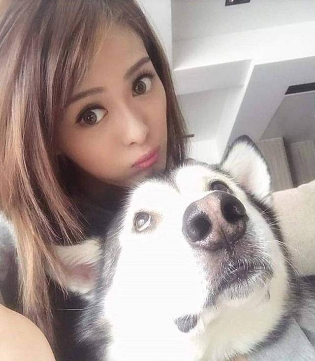 tvb著名女星公布爱犬不幸患上淋巴癌:已经开始做化疗_cooper_许芷荧