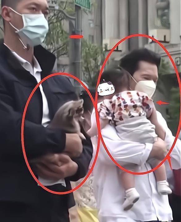 向华强和保姆聊孙女趣事,向芷身高优越_郭碧婷_豪门_珠宝