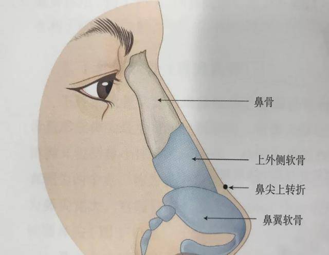 周扬青自嘲"很贵"的鼻子是怎么整出来的?_鼻梁_软骨_高度