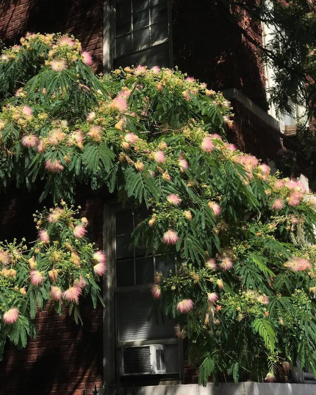 她的每套look我都想照搬_jenny_生活_风格