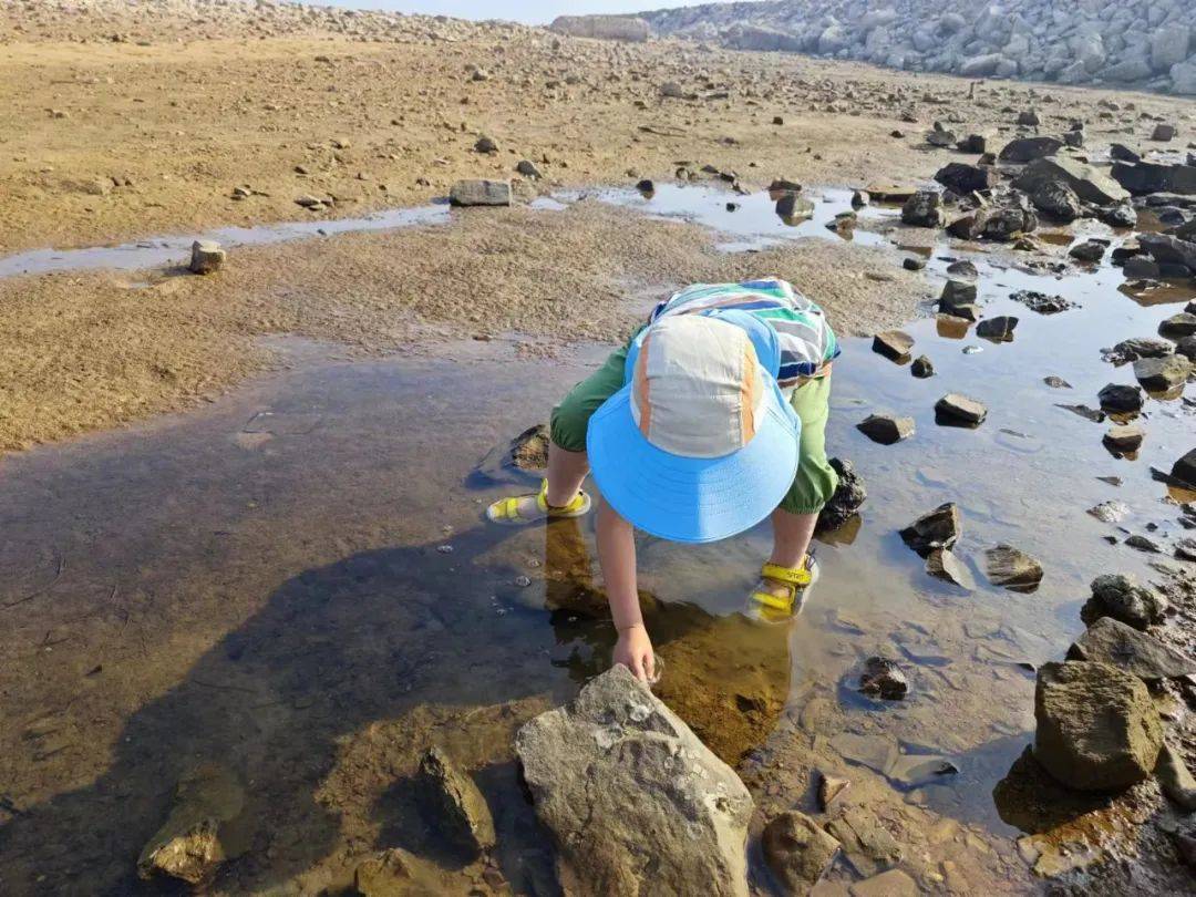 无门票,青岛小众海滩,赶海露营玩水抓螃蟹,消夏好去处_沙滩_孩子_村子