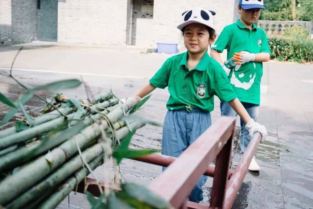 暑假研学 | 国宝守护者大熊猫科考夏令营，招募铲屎官，领取3张证书和科考报告