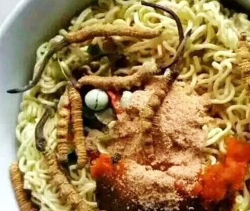 康师傅推出虫草泡面,6元一桶,撕开料包才知中了商家"套路"_价格_虫草