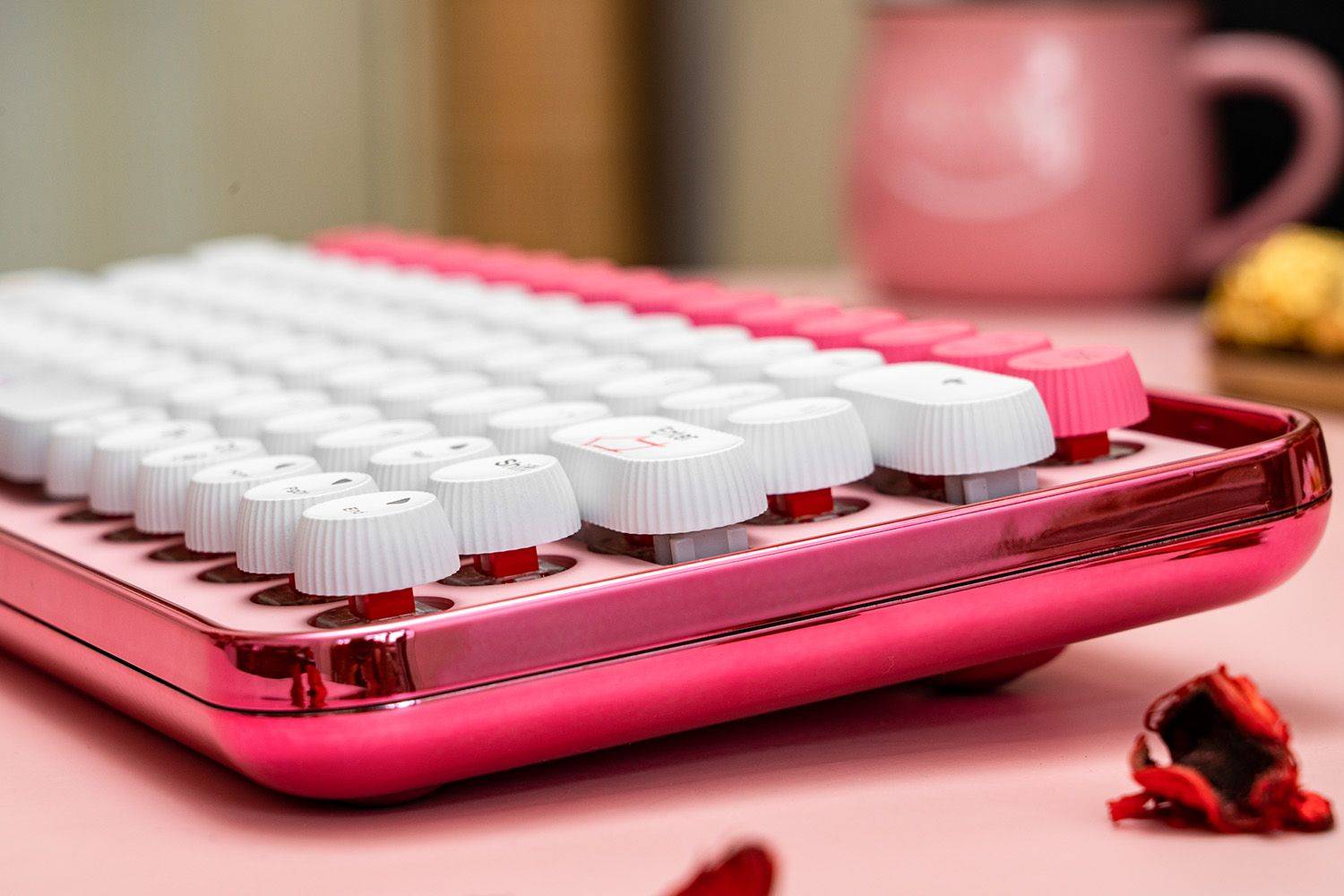 老婆过生日送了雷柏ralemo Pre 5键盘，办公室女同事都问是啥型号