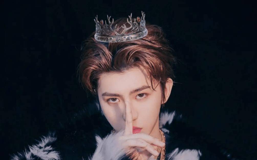 虽然蔡徐坤也就只是说了打掉,后面监控和调取个人信息都是蔡徐坤的